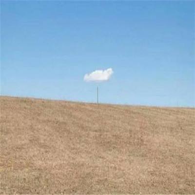 麻将胡了链接下载截图